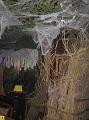 Halloween (42)